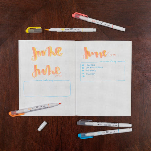 Zebra Pen Zebra Brush DBL END, Assorted Friendly Colors