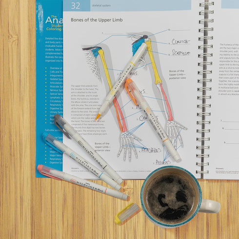 Zebra Pen Zebra Brush DBL END, Assorted Friendly Colors