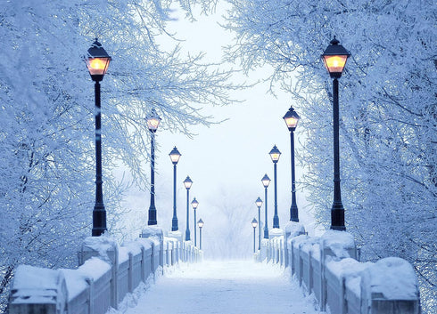 Bridge Lights and Snow Christmas Cards, Boxed Set of 12 Holiday Cards with Envelopes, Made in USA