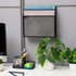 Mind Reader Vertical File Storage, Desktop Organizer Wall Mount, Metal Mesh for Office